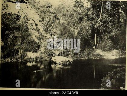 . ... Les débris. FLINT CREEK SYCOMORES sommet, il offre une magnifique vue panoramique viewof tous les LaFayette et le Wabash valley.Un plus petit, mais plus beau, hollowis les soldats ravin-long, Crooked,avec de très fortes et boisées côtés.Crystal Springs du plus pur, le plus froid waterare undersome constamment sortir de rock ou graveleux et minglingwith la banque peu vive d'un ruisseau. Allseasons à c'est la maison d'innumerablewild anil fougères et fleurs est le shadedretreat de nombreuses espèces rares d'oiseaux. De retour à notre fleuve-route, whichwe à gauche du sentier, c'est trouvé à haveparted avec l'entreprise Banque D'Images