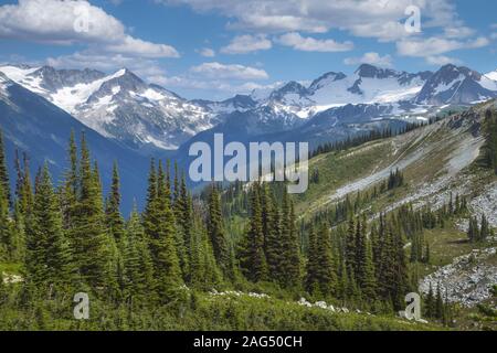 Paysage alpin avec des pins sur les dorsales et les montagnes enneigées en arrière-plan Banque D'Images