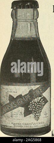 . Janvier-mars 1919 Canadian Grocer. Montréal CANADA FOOD BOARD LICENCE N° 14-216 dans Canadian Grocer le 28 février l919 FARINE DE PURETÉ (Standard) l'ancienne brandthat satisfactionfor fiables a donné d'années, et qui fait plus de ventes et un chiffre de vente ainsi que du pain et du pain, mieux et mieux j'y l'Ouest du Canada de pâtisserie Flour Mills Co., Limited Toronto, Winnipeg, Calgary, Brandon, Edmonton, Vancouver, New Westminster, Victoria, Nanaimo, Prince Rupert, Nelson, Rossland, Montreal, Ottawa, Montréal et Saint John, N.-B.). Il continue de vendre le populaire-ity de Marshsnever diminue.People wh Banque D'Images