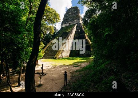 TIKAL, GUATEMALA Pyramides situé à El Peten ministère, le parc national de Tikal. Banque D'Images