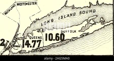 . Recensement de l'état de New York pour 1875. &Lt;5(BF5. iKTWI. ^ AUGMENTATION DE POPULATION BLANCHE DE NEW YORK1870 à 1875. Banque D'Images