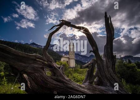 L'ancienne église paroissiale Saint Gertraud vu à travers un gros arbres racine, la gamme Ortler avec le sommet de l'Ortler dans la distance Banque D'Images