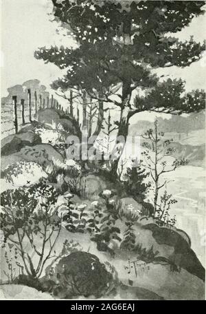 . Documents parlementaires de l'Ontario, 1918, no.17-20. Site de l'Indian Fort, où Snake Creek entre dans la rivière Medway, montrant- reste du barrage construit par les Indiens pour piéger le poisson. AECH 52.E()LO(tI(AL EEPOET.. Site de l'Indian Furl, lioin X.E.-euuit liuwiii ^.j, Kivci Mcdway- et ash-jumeaux uu bord de tuer. ^ M, V- :^•^^ s;4i. :^3^^:T E E^^ J,f. ^ Banque D'Images