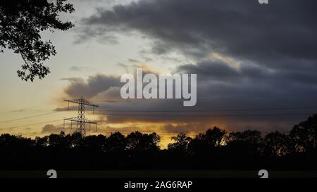 Belle photo de silhouettes d'arbres sous le ciel nuageux au coucher du soleil Banque D'Images