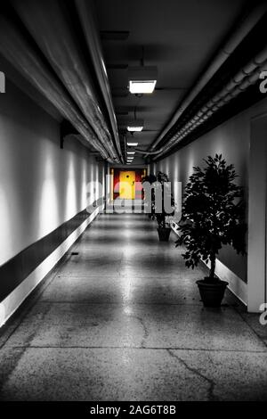Prise de vue verticale en niveaux de gris d'un couloir étroit avec des lumières Banque D'Images