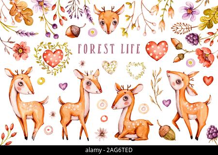 Cute baby deer, forêt fleurs, feuilles. Ensemble des animaux pépinière. illustrations isolées pour les enfants. Boho bohème aquarelle dessin famille sauvage, waterco Banque D'Images