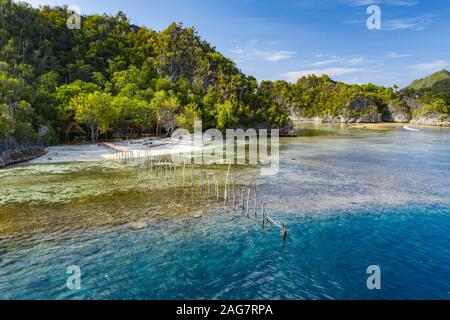 Raja Ampat îles tropicales Indonésie Banque D'Images