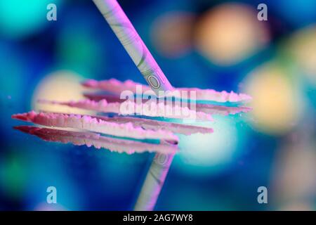 Cologne, Allemagne. Dec 16, 2019. La cocaïne avec une lame de rasoir et l'utilisation de billets de banque dans le monde entier | Crédit : dpa/Alamy Live News Banque D'Images