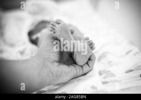 Pieds de bébé dans la main du père. Le père et son enfant Banque D'Images