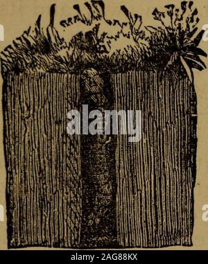 . Peu de gens dans les plumes et de la fourrure, et d'autres dans l'un ni l'autre. Banque D'Images