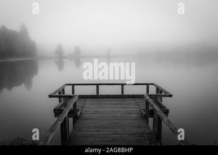 Prise de vue en niveaux de gris d'un quai en bois près de la mer entouré par des arbres couverts de brouillard Banque D'Images