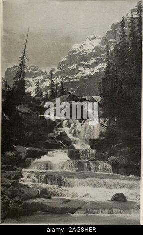 . Le pèlerin des visites de la côte du Pacifique : y compris le parc de Yellowstone, Mesa Verde Park, Grand Canyon, en Californie, en Alaska, Canadian Rockies et Colorado : été 1916. uillet 1 Tour J. 15 juillet Tour K. le 22 juillet 29 juillet M. Tour samedi. Dans le Glacier, au coeur de la glorieuse Selkirk Moun-clut, arrivant dans la matinée ; au Glacier House. Beample il y aura possibilité de visiter le grand glacier Illecillewaet, qui coversan sur plus de trente-cinq milles carrés. Tour H. Le 2 juillet 16 juillet Tour Tour J. K. le 23 juillet 30 juillet M. Tour dimanche. Glacier de congé dans l'avant-midi. La proceedsslowly p Banque D'Images