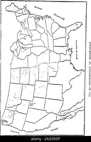 . Les herbes de la ferme des États-Unis ; un traité pratique sur l'herbe, à l'ensemencement des cultures et la gestion des prairies et pâturages, la description des meilleures variétés, les semences et de ses impuretés, des herbes pour des conditions spéciales, etc., etc. comme il n'est plus à l'ouest.Dans l'Ouest, il n'avait pas de concurrents comme un pâturage-grass,alors qu'à l'est qu'il était en concurrence avec plusieurs longues-établi et très satisfadlory particularlytimothy les graminées, d'herbes et de bleu. Il a déjà été déclaré qu'herbe presque tous les documents publiés par l'Stateexperiment ces stations stations provient de la région de timot outsideof Banque D'Images