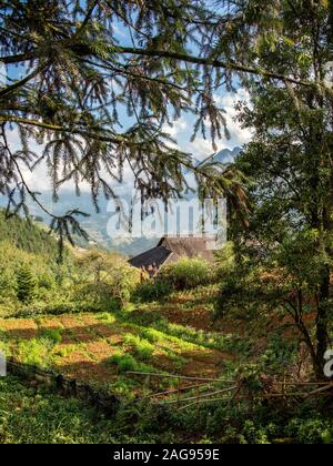 Une vue sur la vallée de Muong Hoa, Sapa, Lao Cao Province, Vietnam Banque D'Images