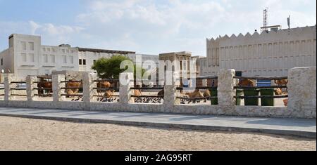 Chameaux à Camel Souq, Souq Waqif à Doha, Qatar, Banque D'Images