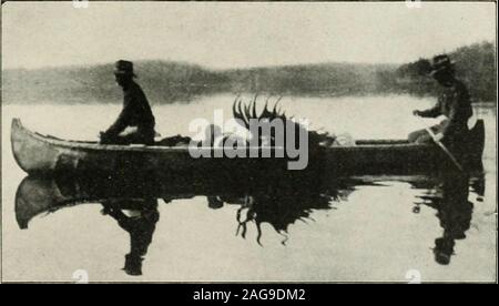 . Rod and Gun. Un lac sans nom de CHEMIN DE FER CANADIEN PACIFIQUE. Le MEILLEUR TIR ET LA PÊCHE EN AMÉRIQUE DU NORD DOIVENT ÊTRE AVAIT SUR LA LIGNE DE CHEMIN DE FER DU CANADIEN PACIFIQUE. Il Y A UN CHOIX DE L'ORIGNAL, le CARIBOU, le mouflon d'Amérique, canard,chèvre,PERDRIX,SNIPE, RAINBOWPIKE,et,DU SAUMON. Faire RESSORTIR UNE HEAI KIPPEWA, Cerf,OURS,antilope, oies, cailles, BÉCASSES, l'OMBLE DE FONTAINE FONTAINE,MASCALONGE,DORE. Pour envoyer copie de notre carte, notre pêche et de tir et otheruseful publications, au général Dept., passager, Montréal (Québec). Créé 1845 Canada*s plus grand magasin d'articles de sport 1 E garder dans une simulation de tous les requirementsfo Banque D'Images