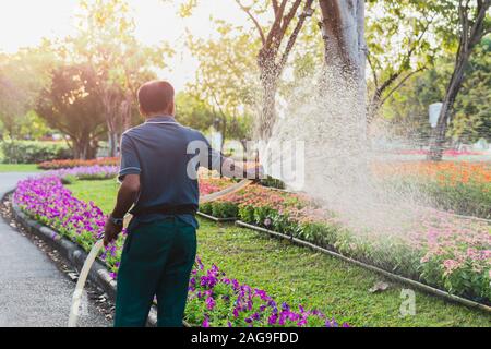 Man arrosage des fleurs dans le parc. Banque D'Images