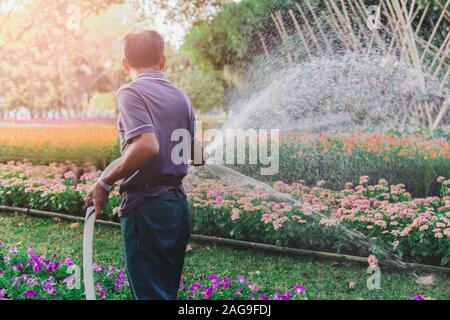 Man arrosage des fleurs dans le parc. Banque D'Images