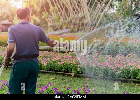 Man arrosage des fleurs dans le parc. Banque D'Images