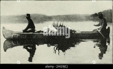 . Rod and Gun. Chemin de fer CANADIEN PACIFIQUE. Le MEILLEUR TIR ET LA PÊCHE EN AMÉRIQUE DU NORD DOIVENT ÊTRE AVAIT SUR LA LIGNE DE CHEMIN DE FER DU CANADIEN PACIFIQUE. Il Y A UN CHOIX DE L'ORIGNAL, le CARIBOU, le mouflon d'Amérique, canard,chèvre,PERDRIX,SNIPE, RAINBOWPIKE,et,DU SAUMON. Faire ressortir un cerf TÊTE KIPPEWA, ours, d'antilopes, cailles, oies, les BÉCASSES, l'omble de fontaine, touladi, MASCALONGE,DOPE. Pour envoyer copie de notre carte, notre pêche et de tir et otheruseful publications, au général Dept., passager, Montréal (Québec). 1845 Canada^s établis plus grand magasin d'articles de sport, gardez à l'rWlJE slock toutes les exigences ? Un J pour nearl Banque D'Images