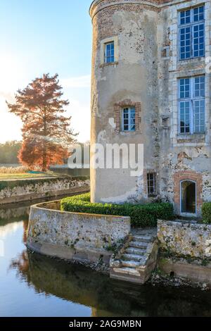 France, Loiret, la Bussière, Le Château de la Bussière Parc et Jardins, château tourelle, étang et le cyprès chauve (Taxodium distichum) en automne // France, L Banque D'Images