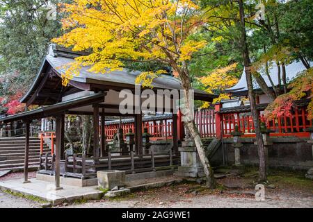 NARA, Japon -20 novembre 2019 : Tamukeyama Hachiman Shrine est un sanctuaire Shinto dédié au kami Hachiman. Il a été établi en 749. Banque D'Images