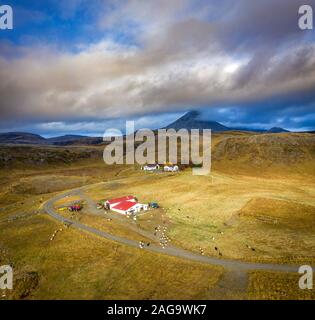 Ferme de moutons, Nordurardalur, vallée de Borgarfjordur, dans l'ouest de l'Islande Banque D'Images