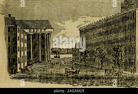 . L'Albany répertoire pour l'année ...  : Contenant un répertoire général des citoyens, un annuaire des entreprises, et d'autres question. ALBANY, N. Y. ^f jf. Banque D'Images