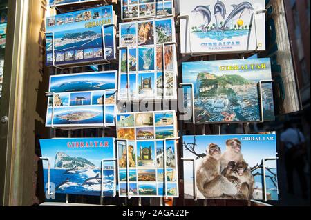 Royaume-Uni, Gibraltar : les singes et le rocher sont probablement les parties les plus célèbres et les plus visitées de Gibraltar. Banque D'Images