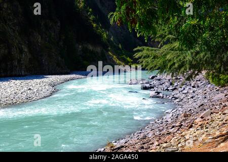 Le bleu large fleuve turbulent des flux entre les montagnes et la forêt de pins. Les banques sont faites de pierres, l'eau scintille au soleil. Banque D'Images