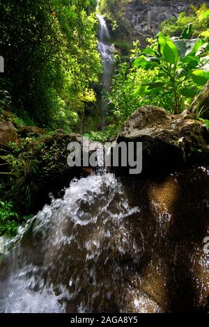 Catarata trail, Boquete, Panama. La zone montagneuse qui entoure la ville de Boquete est rapidement en train de devenir la capitale de l'aventure au Panama. Une légère clim Banque D'Images