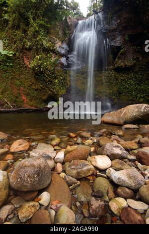 Catarata trail, Boquete, Panama. La zone montagneuse qui entoure la ville de Boquete est rapidement en train de devenir la capitale de l'aventure au Panama. Une légère clim Banque D'Images