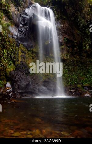 Catarata trail, Boquete, Panama. La zone montagneuse qui entoure la ville de Boquete est rapidement en train de devenir la capitale de l'aventure au Panama. Une légère clim Banque D'Images