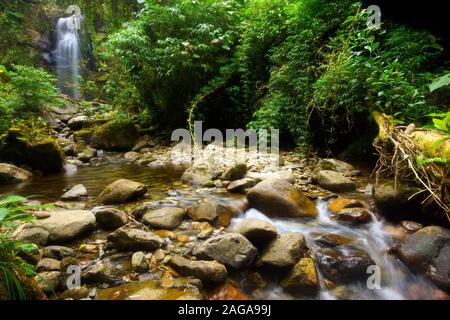 Catarata trail, Boquete, Panama. La zone montagneuse qui entoure la ville de Boquete est rapidement en train de devenir la capitale de l'aventure au Panama. Une légère clim Banque D'Images