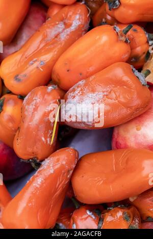 Légumes pourris, bell couleur poivrons, orange. moisies. aliments gâtés. Banque D'Images