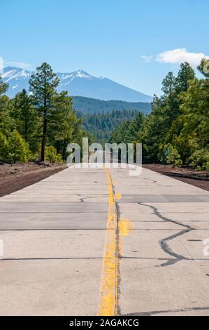 La route 66 passe à travers la forêt nationale de Kaibab près de Williams, Arizona, USA Banque D'Images