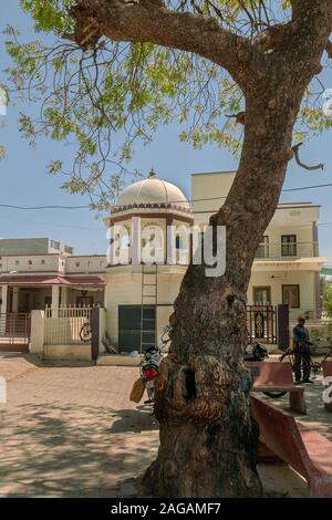 04 Mar 2019 tronc de l'arbre neem hough et l'alimentation des oiseaux connu comme chabutro à Hinglaj sabarkantha idar village Gujarat Inde Banque D'Images