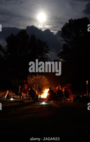 Plan vertical d'un groupe de personnes assis autour d'un feu de joie dans la forêt la nuit Banque D'Images