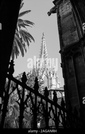 Vue depuis l'intérieur de la cathédrale de Barcelone et de les inscrire dans la cour intérieure du format monochrome. Banque D'Images