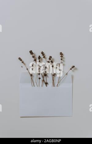 Photo verticale de fleurs sèches dans une enveloppe blanche fixée au mur Banque D'Images