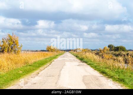 Chemin étroit au milieu d'un champ herbacé sous le ciel nuageux en Camargue, France Banque D'Images