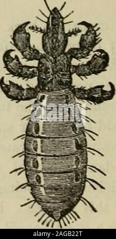 . Les agriculteurs américains. Une bibliothèque agricole complète, avec des faits utiles pour le ménage, consacré à l'agriculture dans l'ensemble de ses ministères et de détails. ^ ^w. Banque D'Images