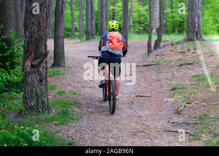 Le sport et la vie active concept. Cycliste de protecteur. Équitation en vélo dans les forêts de conifères sur journée ensoleillée parmi beaucoup d'arbres verts. Mode de vie sain. Banque D'Images
