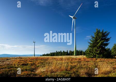 Éoliennes dans le paysage de montagne d'automne avec de l'herbe sèche d'or et de buissons de bleuets de couleur rouge Banque D'Images