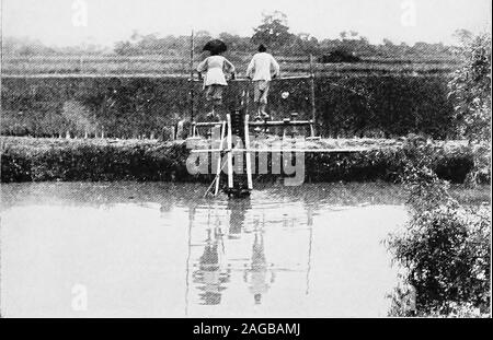 . Où la moitié du monde se réveille ; l'ancien et le nouveau au Japon, la Chine, les Philippines et l'Inde, rapporté avec une référence particulière aux conditions américaines. Un désert. Le pompage de l'eau pour l'irrigation de la destruction des forêts de montagne Chines a fait de vastes déserts d'areasthat ont été une fois juste et fructueuse. La photo du bas, montrant l'pumpingwater chinois par tapis roulant, fournit une autre illustration de l'orientation de la main-d'wasteof Banque D'Images