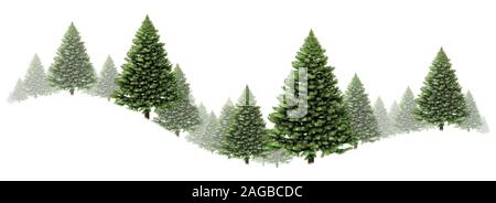 Pine Tree border hiver swirl design avec un groupe d'arbres de Noël vert sur fond blanc comme un élément de la forêt sempervirente de fête avec du brouillard. Banque D'Images