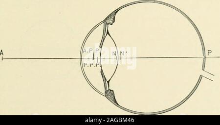 . La réfraction et la façon de réfracter : y compris des sections sur l'optique, la rétinoscopie, le montage de lunettes et les lunettes, etc.. elmholtz).permettant à un millimètre de l'épaisseur de la sclère, choroidand comme un oeil aurait une anteroposteriormeasurement d'environ vingt-trois millimètres. Parallelrays de lumière passant dans un tel état d'oeil dans un restwould l'accent sur la macula. Points cardinaux (Fig. 57).-Images formées sur theretina sont le résultat de la réfraction par trois lunette sur-faces et trois médias réfringente. Les surfaces de réfraction de 58 points cardinaux. ^g sont la surface antérieure o Banque D'Images