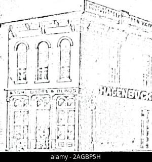 . Logansport, Indiana, Polk city directory. ar-ket et Broadway les professeurs de musique. (Piano) Tuley Thos. J. 21$ 4e Wright W. S. 220 thYopst 4 Geo. A. 218 4e notions. (V&gt ; °1&gt ;".) Dailey Mme M. C. lis Market Janicki Wladyslaw Prof, côté ouest le péché, pari. Edwin Heine, 420 1 Marché Kotz Mme B. 419 421 12 B. Kohtz thj 12thLewis Mme B. Z. 523 Broadway f .....J,,-.. IM,,., o ... ",.- T&gt;1,,,., de Broadway et au nord d'instruments de musique. J. Qninn Si. west Bide 5ème. l"&Lt ;-t. Broadway et NorthVaile & Pont, 129 Broadway Marnier* Thos. s.w.cor. Côté PlumWest Murdook & Bro. Mauvais Broadwayl.Stoll B. II. 15 Banque D'Images