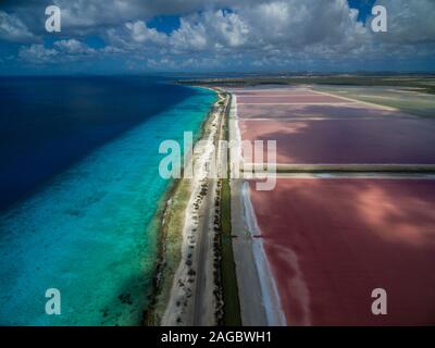 Photo en grand angle de moules à sel esthétiques à Bonaire, dans les Caraïbes Banque D'Images
