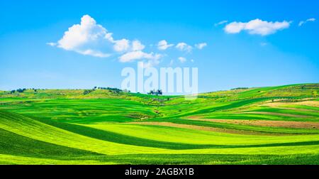 Pouilles Vue sur campagne, collines et champs verts paysage. Poggiorsini, Murge Bari, Italie Europe Banque D'Images